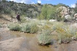 photo thumbnail #1
