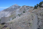 photo thumbnail #5