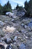 photo thumbnail #15