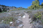 photo thumbnail #1