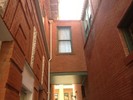 photo thumbnail #14