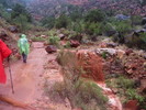 photo of comment