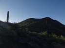 photo thumbnail #15