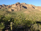 photo thumbnail #5