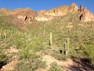 photo thumbnail #8