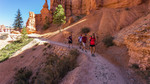photo thumbnail #14