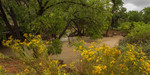 photo thumbnail #8