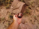 photo thumbnail #7