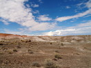 photo thumbnail #11