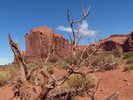 photo thumbnail #4
