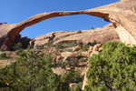 photo thumbnail #2