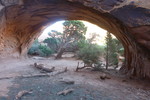 photo thumbnail #3