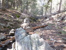 2014-09-29 :1: Bear Canyon Upper - West Bear Canyon Loop :: trekkin_gecko