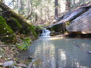 2014-09-29 :1: Bear Canyon Upper - West Bear Canyon Loop :: kingsnake