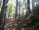 photo thumbnail #12