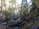 photo thumbnail #13
