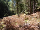2014-09-29 :1: Bear Canyon Upper - West Bear Canyon Loop :: kingsnake