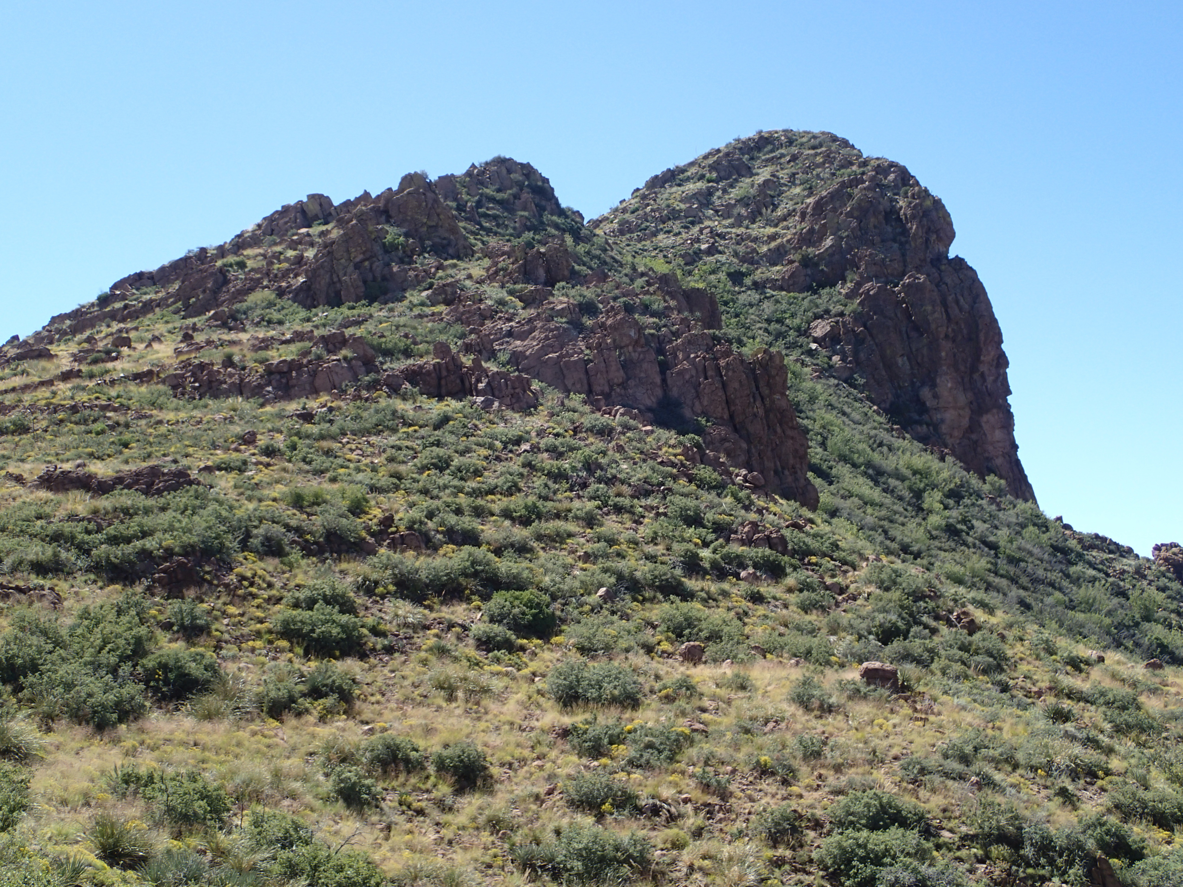 Kings Crown Peak 5541, AZ | HikeArizona