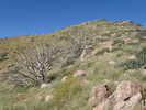 photo thumbnail #9