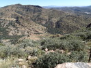 photo thumbnail #10