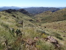 photo thumbnail #15