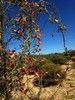 photo thumbnail #3