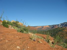 photo thumbnail #4