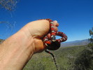 photo thumbnail #1