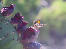 photo thumbnail #4