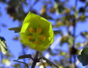 photo thumbnail #10