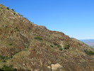 photo thumbnail #12
