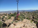 photo thumbnail #6