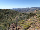 photo thumbnail #5