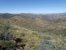 photo thumbnail #7