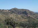 photo thumbnail #11