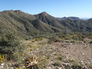 photo thumbnail #8