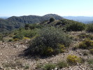 photo thumbnail #9