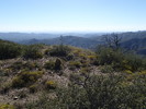 photo thumbnail #10