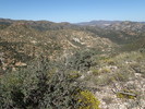 photo thumbnail #14