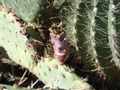 photo thumbnail #1