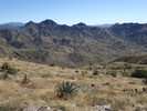 photo thumbnail #13