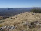photo thumbnail #15