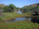 2014-10-02 :2: Hackberry Spring Loop :: snakemarks