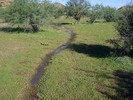 2014-10-02 :2: Hackberry Spring Loop :: snakemarks
