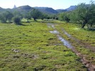 2014-10-02 :2: Hackberry Spring Loop :: snakemarks