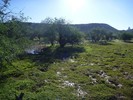 2014-10-02 :2: Hackberry Spring Loop :: snakemarks