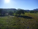 2014-10-02 :2: Hackberry Spring Loop :: snakemarks