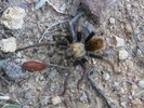 photo thumbnail #8