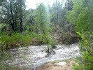 photo thumbnail #4