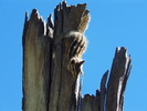 photo thumbnail #3